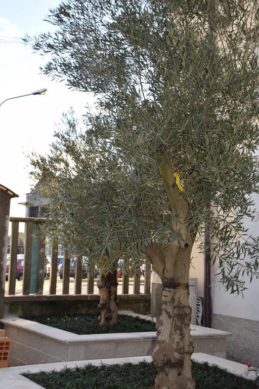 B&B Leonardo Rho Buitenkant foto