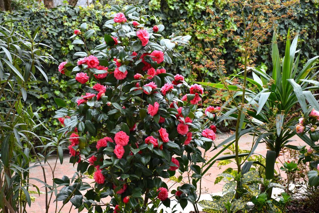 B&B Leonardo Rho Buitenkant foto